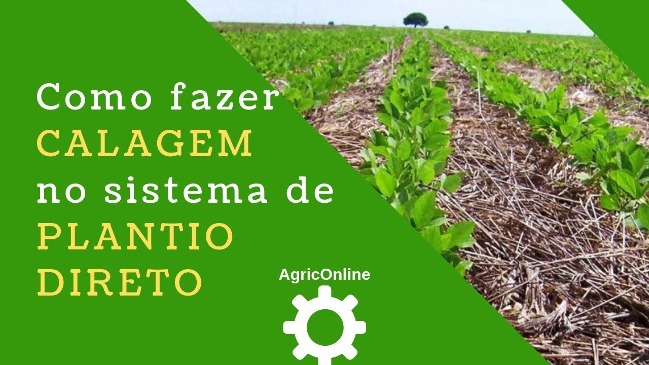 Como fazer a CALAGEM no sistema de PLANTIO DIRETO