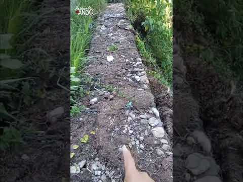 Paseando Ando Mundo. Prog 242. Vías de la trasandina intransitables ante la mirada del turista.