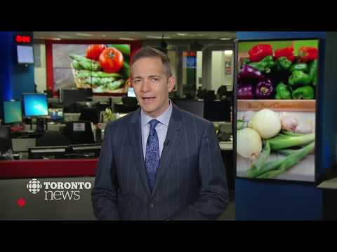 CBC News Toronto - December 04, 2019 [Late Night]