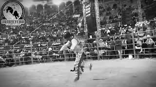 Alfredo Olivas Día De Muertos En Omenaje A Chavita Silva