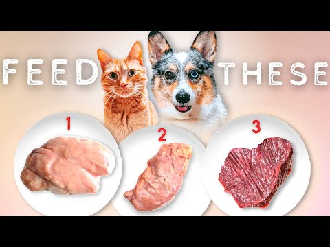 The BEST Organ Meat For Your Raw Fed Pet