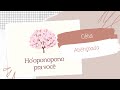 HO'OPONOPONO PARA CÉLIA