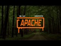 Apache Gangsta Bitch