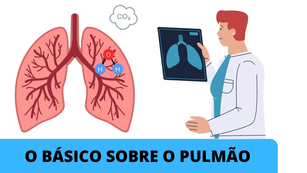 ANATOMIA E FISIOLOGIA DO SISTEMA RESPIRATÓRIO | O BÁSICO SOBRE O PULMÃO