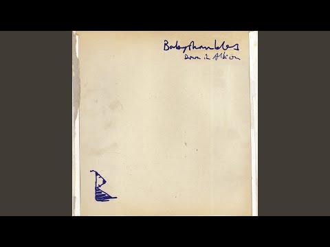 In Love With a Feeling - Babyshambles