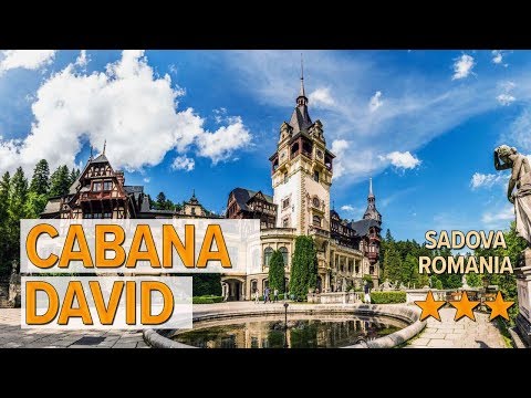 Cabana David hotel review | Hotels in Sadova | Romanian Hotels