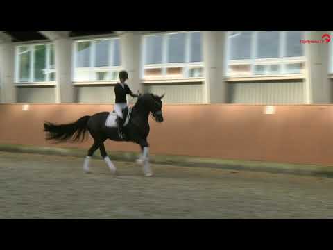 Total Hope OLD and Isabel Freese