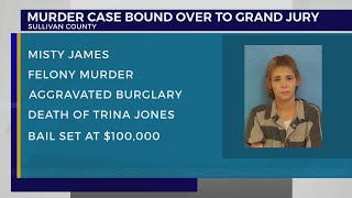 Sullivan County murder suspect appears in court, bail set at $100,000