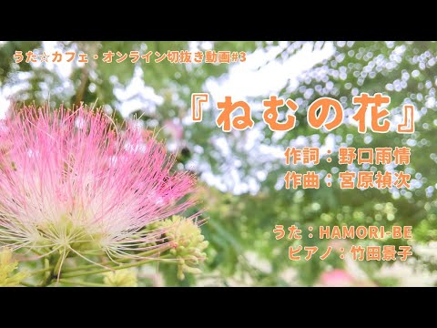 教養学科 ねむの花＿作詞:野口雨情 作曲:宮原禎次【HAMORI-BEの切抜き動画 うた☆カフェ・オンライン】#3