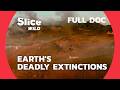 Surviving Earth's 5 Mass Extinctions: A Prehistoric Journey | SLICE WILD | FULL DOC DEFAULT Thumbnail