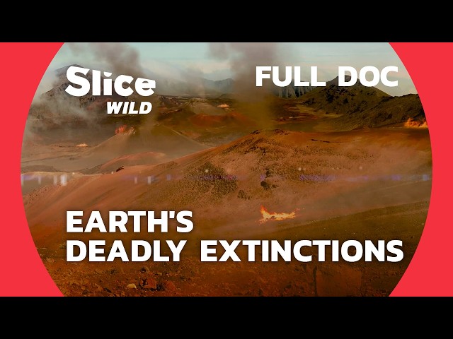 Surviving Earth's 5 Mass Extinctions: A Prehistoric Journey | SLICE WILD | FULL DOC SDDEFAULT Thumbnail