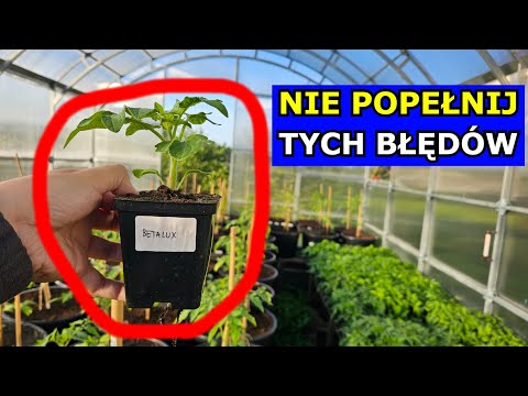 The Biggest Mistake in Seedling Production: The Secrets of Beautiful Tomato, Pepper, and Other Ve...