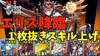 【パズドラ】エリス降臨1枚抜きスキル上げシェアト×マドゥ編成【エリス降臨】