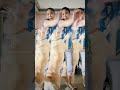 Dance Daw C Baby Monica Qu