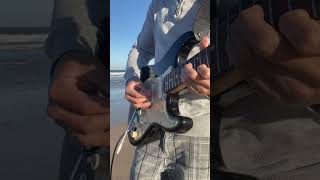 Hunter - Dido | Live Loop Tutorial
