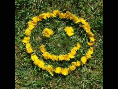 Wise Guys- Mädchen lach doch mal