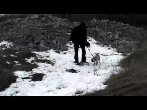 Haunted Blue Ghost Tunnel