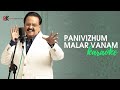 Panivizhum Malar Vanam Karaoke Tamil Karaoke S P Balasubrahmanyam Regional Karaoke