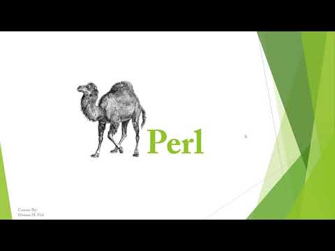 أساسيات Perl : Data types