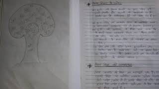 EPC1:- Reading & Reflecting On Text  copy in Hindi