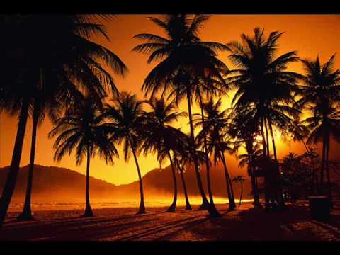 Aerodrömme - Currywurst