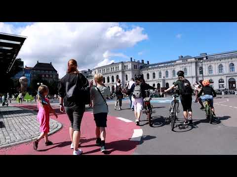 Oslo Walk 2021 (Norway)