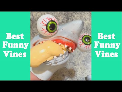 Shark Puppet Most Watched Tik Tok 2025