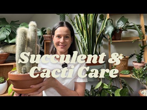 Succulent & Cacti Care Tips | 6 EASY tips for healthy plants 🌿