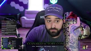 Snakes and Chill
