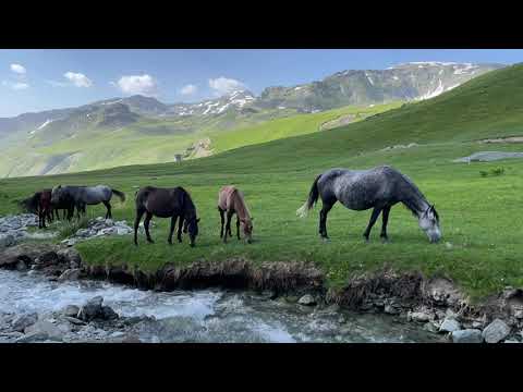 Bjeshkët e Sylbicës (Tropojë) @PROM-AL