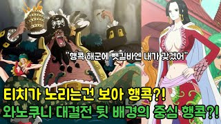 [원피스 분석]티치가 노리는건 보아행콕?! 와노쿠니 대결전 뒷배경의 중심 행콕?!