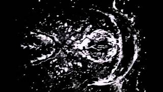 Potentiam | 8 for Holy Rebels