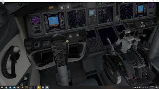 初心者がB738を飛ばそうとするとこうなる
