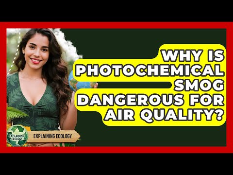 Why Is Photochemical Smog Dangerous For Air Quality? - Explaining Ecology