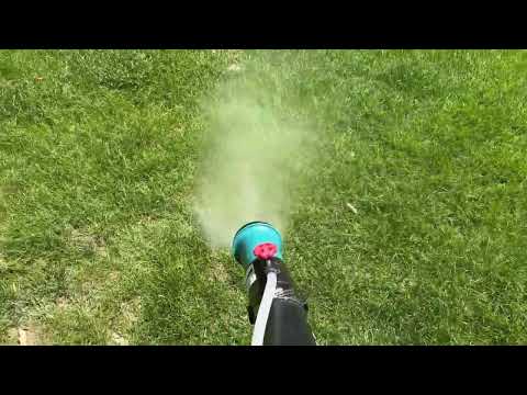 Treating the Digger Bees Throughout the Yard in Matawan, NJ