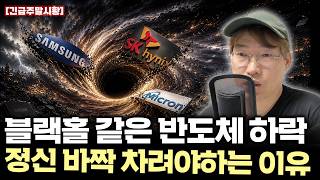 [긴급주말시황]반도체블랙홀에 빠져도 정신 차리면 생존/ 마벨테크 S&P500 편입