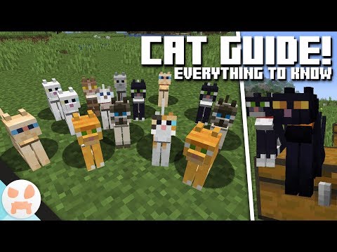 CAT GUIDE! | Cat Info & Variants| Minecraft 1.14 - Village and Pillage