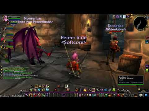 Burg Schattenfang in Hardcore WoW PTR mit dem 22er Hexenmeister