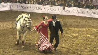 il cavallo iberico fieracavalli 2015 verona