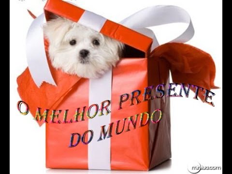 O Melhor Presente do Mundo