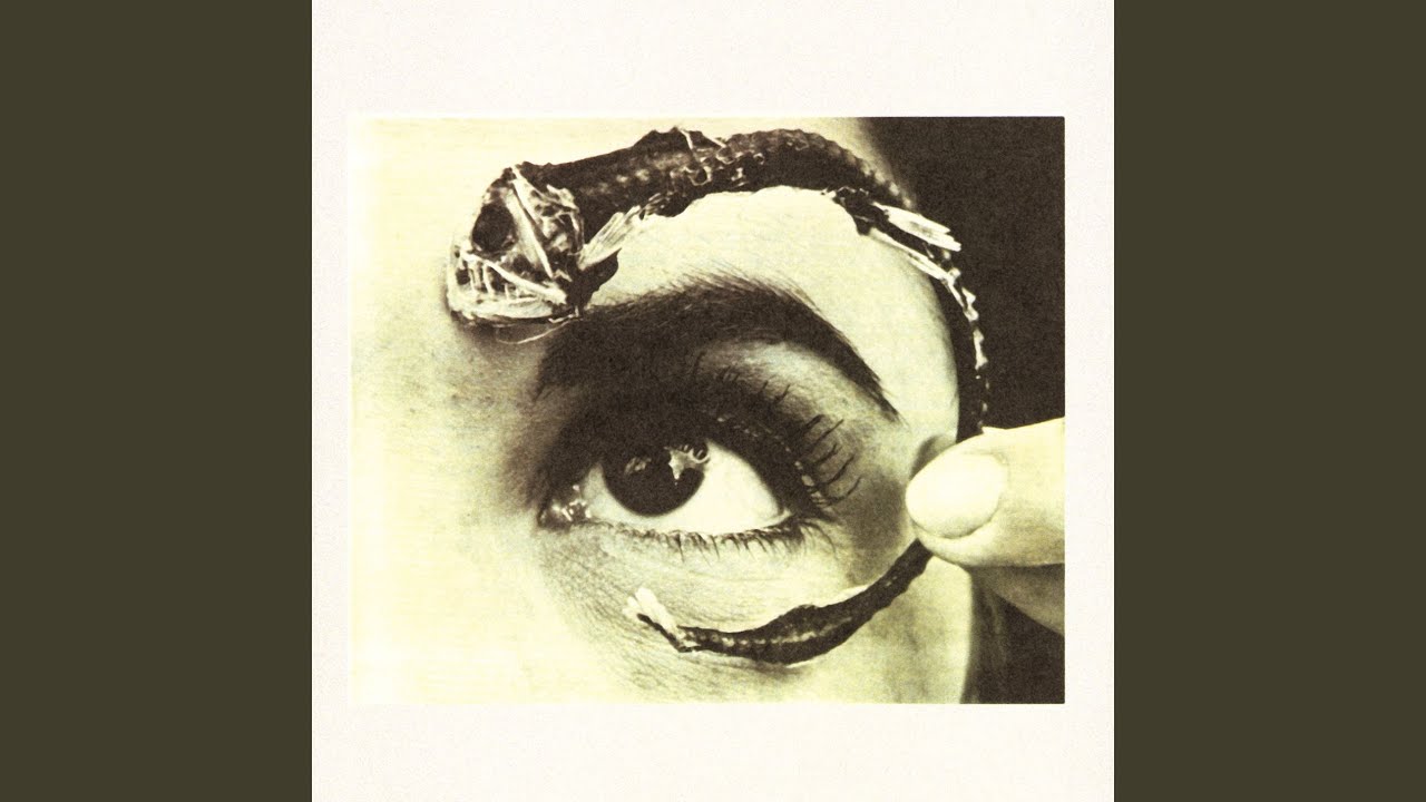 Carry Stress in the Jaw – Mr. Bungle / ミスター・バングル 和訳