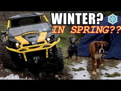 WINTER CAMPING IN SPRING ❄️🌲 | Me, Dogs & Can-Am in the Snowy Mountains