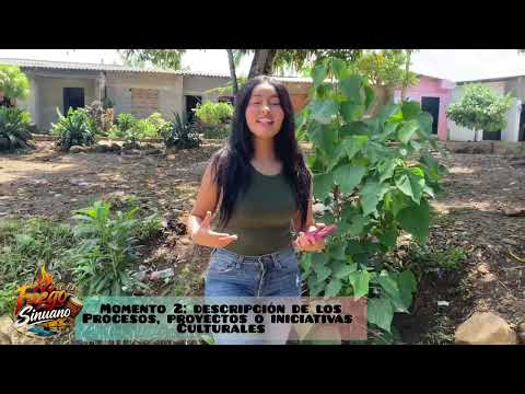 JOVENES POR EL CAMBIO 2026, COLECTIVO FUEGO SINUANO- PURISIMA CÓRDOBA.