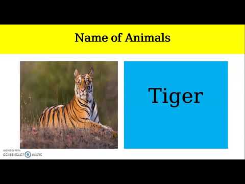 Name of animals