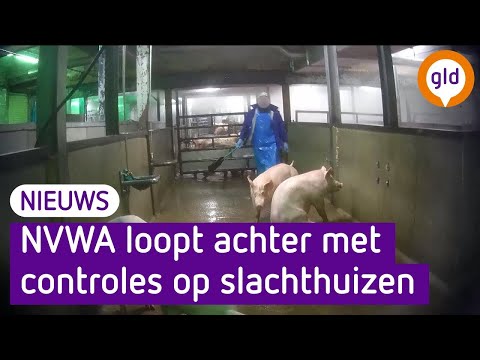 GLD Nieuws 7 augustus 2021