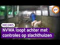 GLD Nieuws 7 augustus 2021