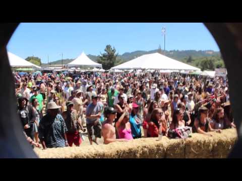 Gentleman's Dub Club at Sierra Nevada World Music Fest 2015