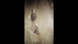 동찬 Dongchan -  역치 Threshold OFFICIAL AUDIO