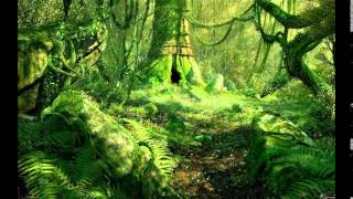 Tu bosque animado - Luz