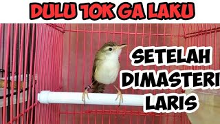 Download lagu CARA EFEKTIF MEMASTER BURUNG CIBLEK SAWAH AGAR CEPAT NGUNCI mp3 Download lagu CARA EFEKTIF MEMASTER BURUNG CIBLEK SAWAH AGAR CEPAT NGUNCI mp3